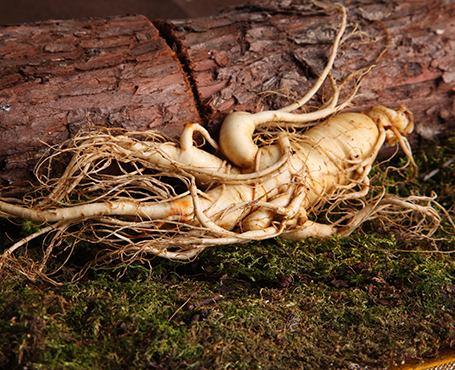 正德藥業(yè)-品牌營銷網(wǎng)站|一網(wǎng)天行-網(wǎng)站建設(shè)小程序APP系統(tǒng)軟件開發(fā)公司